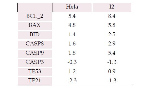 Hela와 I2 세포의 ZBTB38의 발현량을 기준으로 비교한 결과