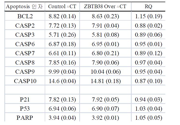 ZBTB38 Overexpression에 따른 Apoptosis 유전자들의 발현 변화