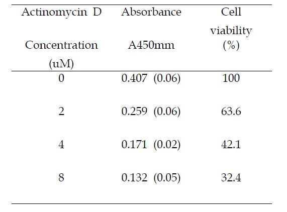 cell에 actinomycin D 처리 후 cell viability 측정 결과