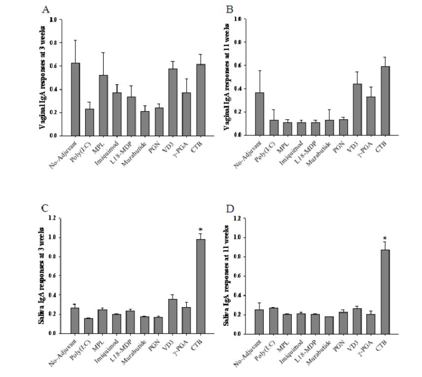 설하 백신 투여 후 전신 면역 반응. HPV16 L1 항원단백질과 함께 TLR agonists (Poly(I:C), MPL, Imiquimod), NOD agonists (L18-MDP, Murabutide, PGN), VD3, γ -PGN 그리고 CTB를 혼합하여 설하 경로를 통하여 일주일 간격으로 총 3번에 걸쳐 투 여함. 처음 백신 투여 후 3 주 (A)와 11 주 (B)에 vaginal secretion과 saliva에서 항원 특이적인 IgA 레벨을 ELISA assay를 통하여 측정하였음. ‘*’는 p > 0.05를 나타냄.