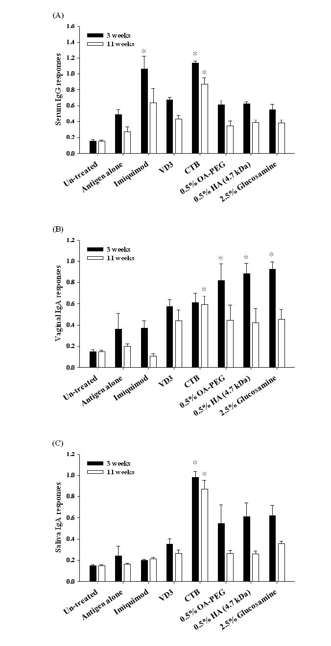 설하 백신 투여 후 전신 및 점막에서의 면역 반응. HPV16 L1 항원 단백질과 함께 선별된 adjuvant (imiquimod, VD3, CTB)와 enhancer (OA-PEG, HA, Glucosamine) 물질들을 혼 합하여 설하 경로를 통하여 일주일 간격으로 총 3번에 걸쳐 투여함. 처음 백신 투여 후 3 주와 11주에 혈청에서 항원 특이적인 serum IgG (A), vaginal IgA (B), saliva IgA (C) 레벨을 ELSIA를 통하여 측정하였음. ‘*’는 p > 0.05을 나타냄.