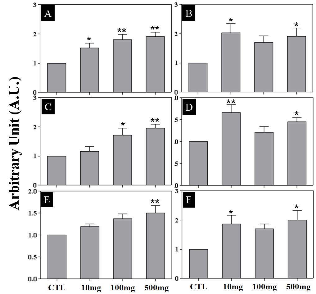 Effect of prepubertal GS administration on the expression of ER-α, ER-β, and PR in the rat ovaries and uteri