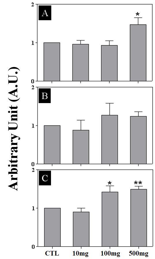 Effect of prepubertal GS administration on the expression of KiSS-1, GPR54, and GnRH in the rat hypothalami