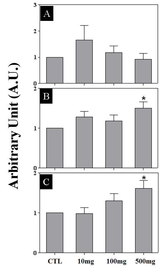 Effect of prepubertal GS administration on the expression of Cα, LH-β, and FSH-β in the rat pituitaries