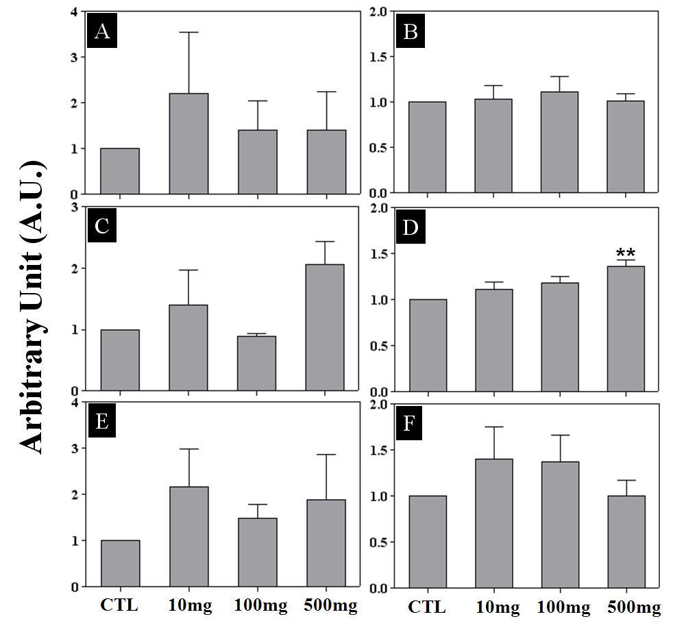 Effect of prepubertal GS administration on the expression of ER-α, ER-β, and PR in the rat hypothalami and pituitaries