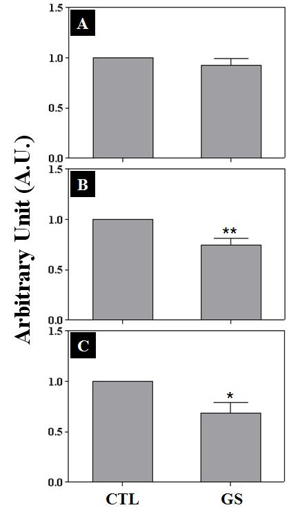 Effects of GS icv infusion on the expression of Cα, LH-β, and FSH-β in the rat pituitaries