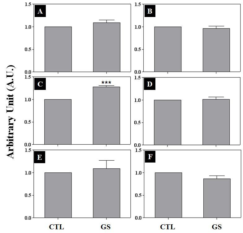 Effects of GS icv infusion on the expression of ER-α, ER-β, and PR in the rat hypothalami and pituitaries