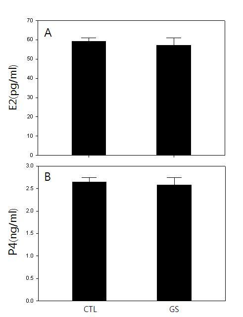 Effects of GS ICV infusion on the levels of serum estrogen and progesterone