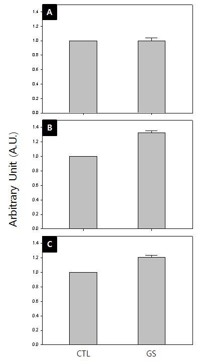 Effects of GS ICV infusion on the expression of Cα, LH-β, and FSH-β in the immature rat pituitaries