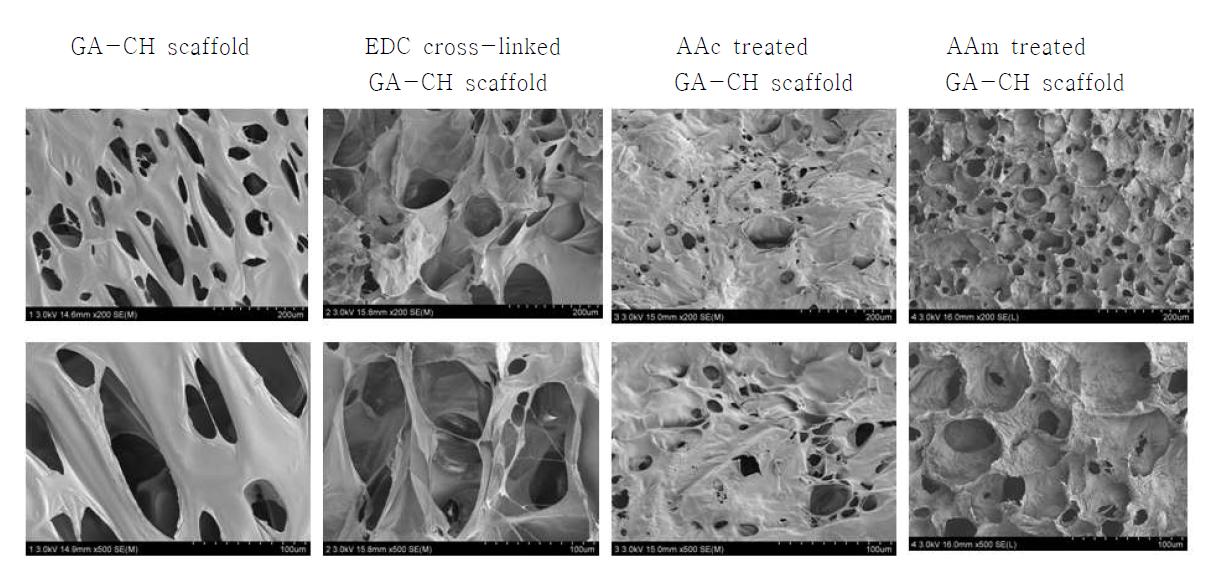 Surface morphology of plasma modified scaffold.