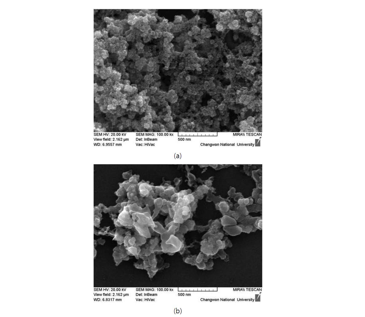 TEM 측정용 시료와 동일한 조건에서 제작된 시료의 SEM image (  ) (a)             , (b)            