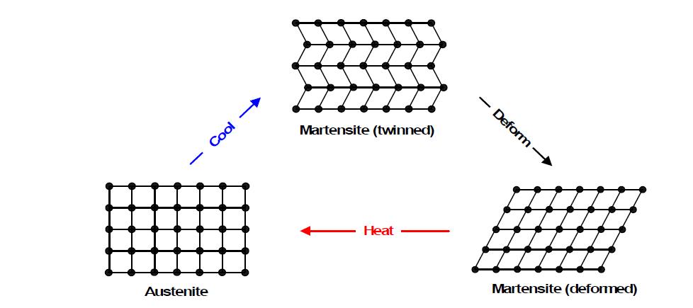 Schematic of the shape memory effect