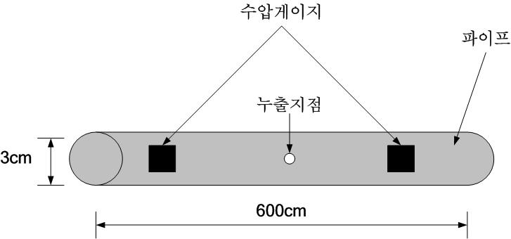 모형실험 개략도