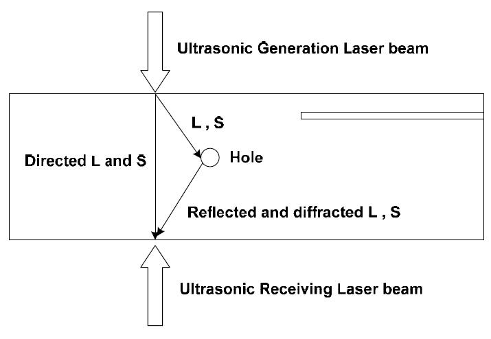 Propagating process of ultrasound in a specimen