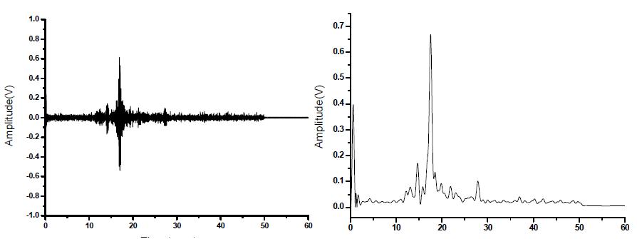 Ultrasonic Signal and Envelope Signal for Visualization