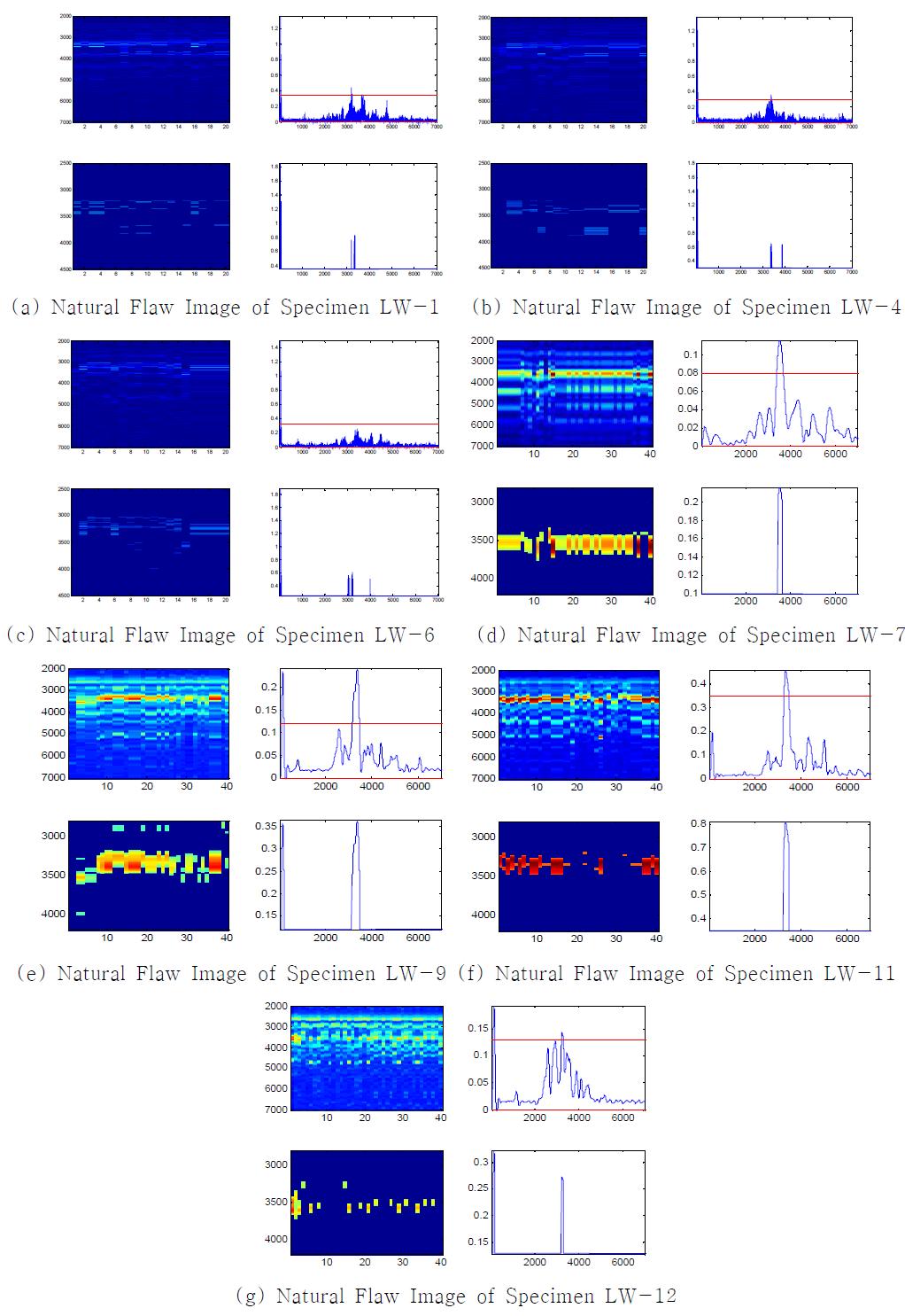 Ultrasonic Signal for Visualization and Natural Flaw Image