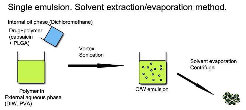 Single emulsion, solvent extraction/evaporation method