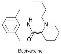 Bupivacaine 구조