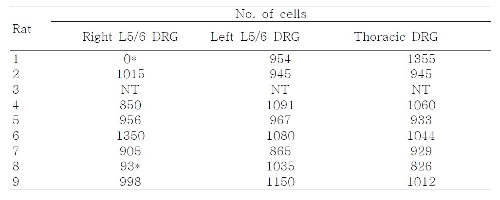 Number of cells according to DRG level.