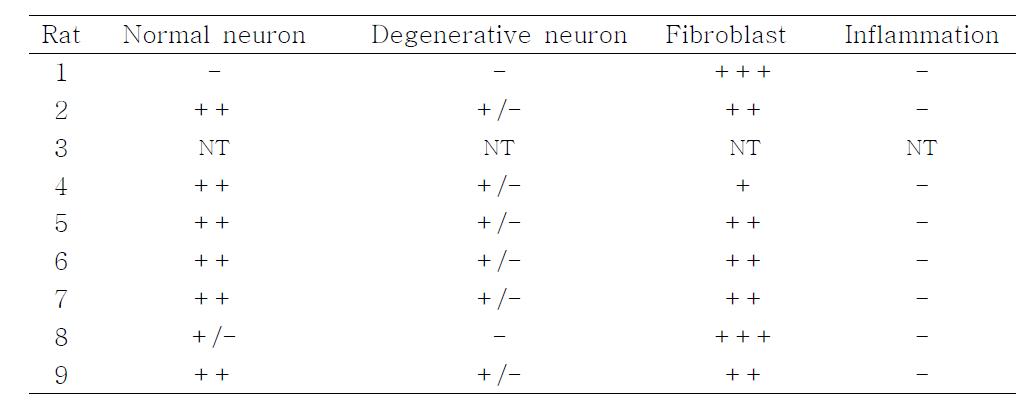 Microscopic findings of right L5/6 DRG cells.