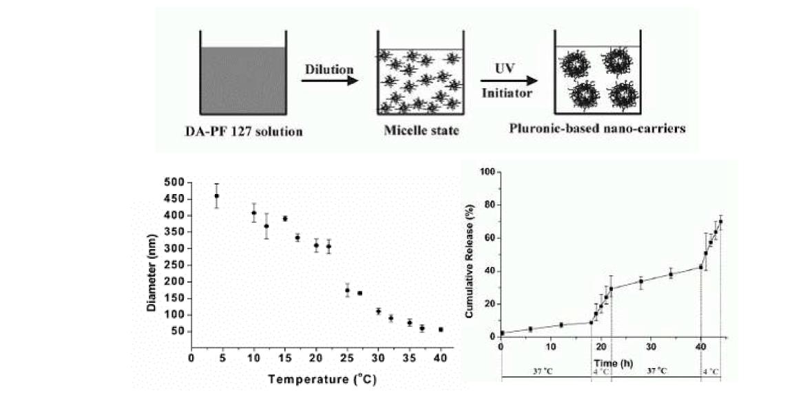 Pluronic 나노운반체의 제작방법 및 특성