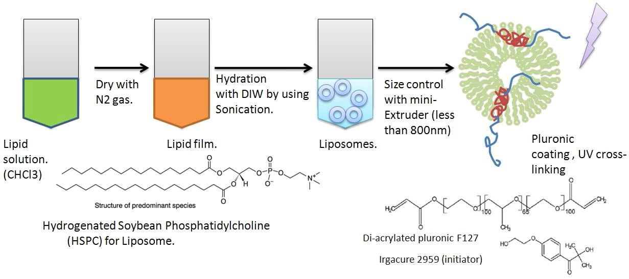 QX-314 서방출 제형을 위한 Liposome 제조과정