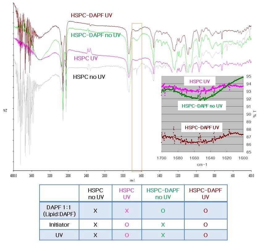 DAPF 처리 전/후, UV가교 전/후 liposome의 FT-IR 측정값