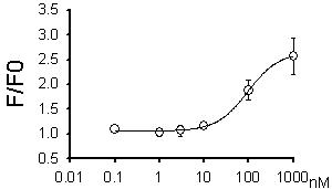 Ligand E의 TRPV3 activation dose-response curve 작성 결과. Fluo-3 calcium imaging 방법을 사용하여 도출하였으며, 이를 통하여 약 100nM의 EC50를 가진 것을 알 수 있음. 이는 기존에 문헌에 보고된 현존하는 TRPV3 agonist 중 가장 강력한 것임. Ligand M에 대해서도 유사한 결과가 도출되었음 (data not shown).