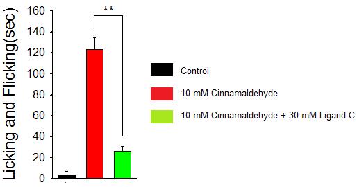 cinnamaldehyde licking/flicking test를 통하여 관찰한 Ligand C의 진통효과: cinnamaldehyde 주입 전 동일부위에 Ligand C를 전처치함. licking/flicking 소요시간 집계치를 통계처리한 결과, Ligand C가 유의성있는 진통작용이 있음을 확인함 (p<0.01).