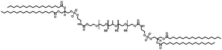 Lipid conjugated pluronic의 구조