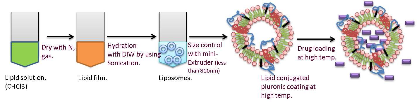 리포좀 생성 및 lipid conjugated pluronic의 적용 개요