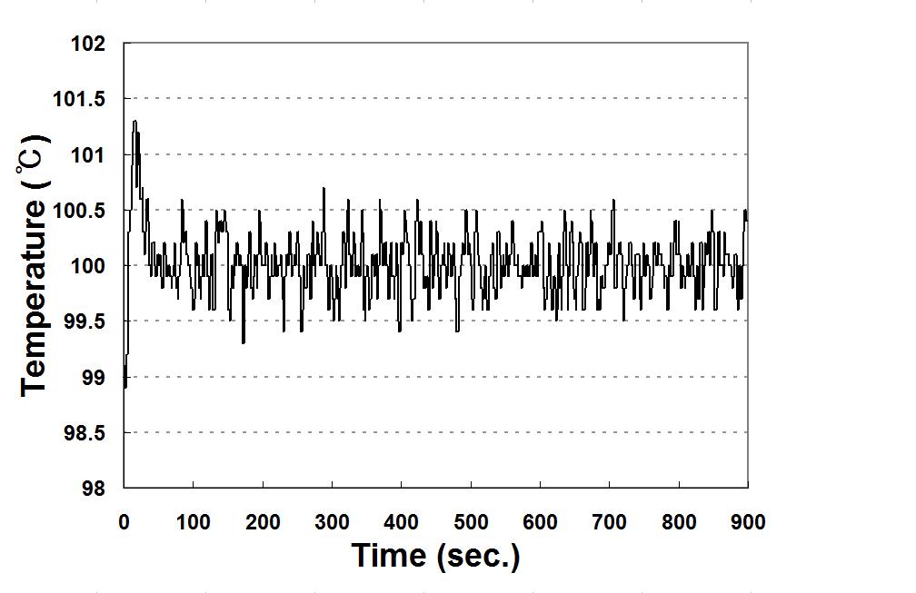 Temperature history at the 100℃ dwell