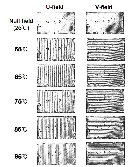 Representative moire fringe patterns of the aluminium block