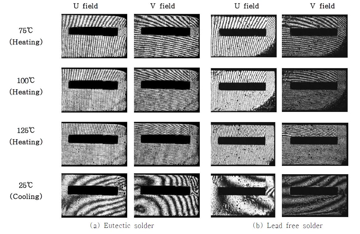 Representative fringe patterns of the shear specimen due to temperature change