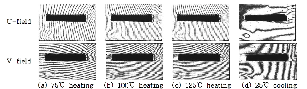 Representative fringe patterns for the leaded solder (1.0℃/s)