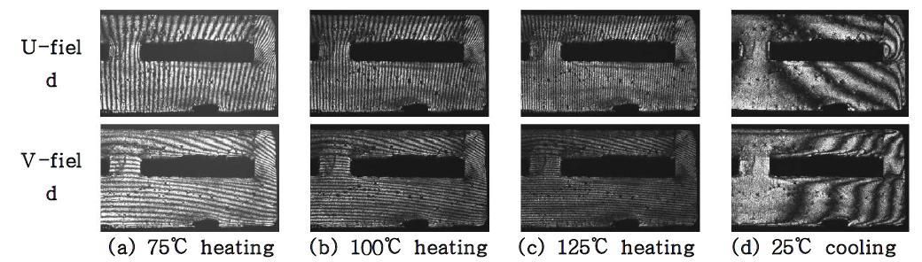 Representative fringe patterns for the leaded solder (0.1℃/s)