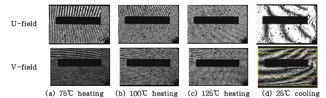 Representative fringe patterns for the lead free solder (0.1℃/s)