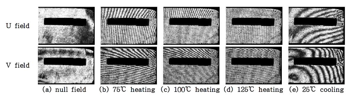 Representative fringe patterns