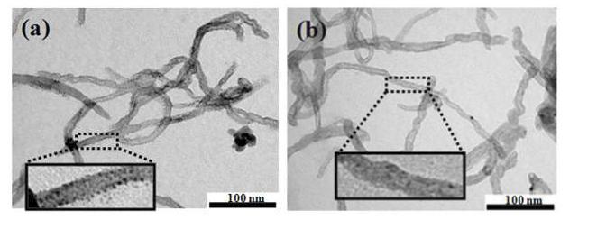 Thiolate MWCNT(a), carboxylate MWCNT(b)와 GNPs의 결합 확인