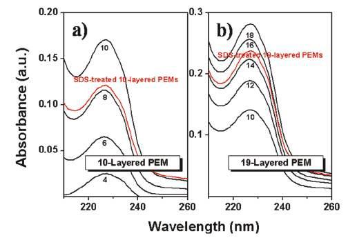 PEM의 UV-vis spectrum.