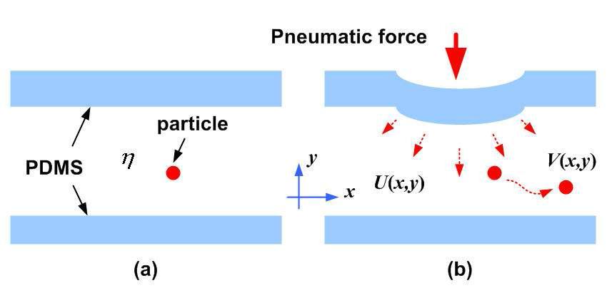 공압 구동기 막의 변형과 입자의 운동 (η : 유체의 점도).