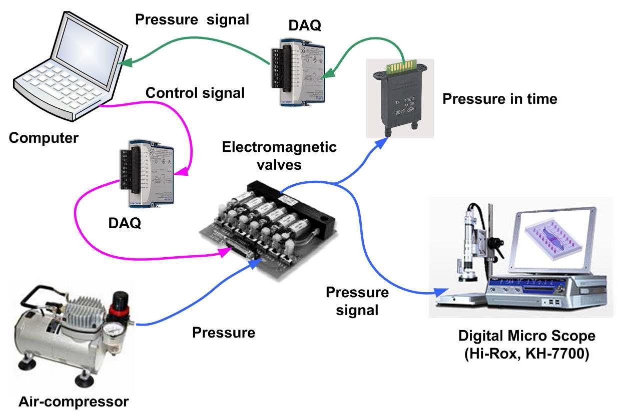 Computer-controlled fully automated pneumatic-supply system.