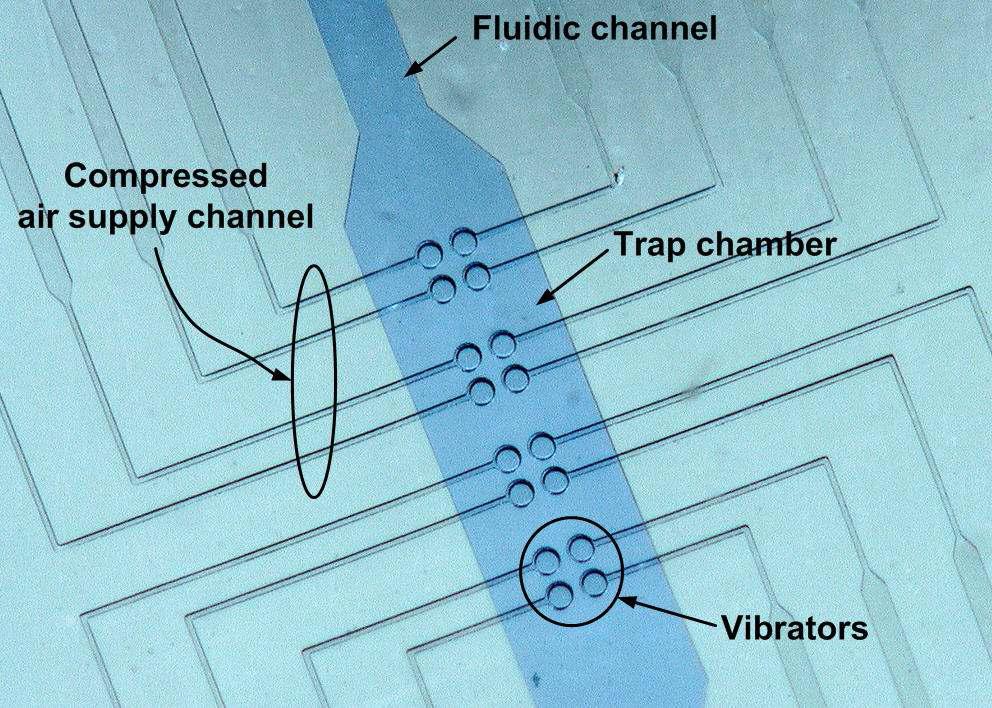 Enlarge-view of trap chamber and vibrators