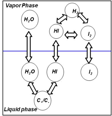 HI-H2O-I2 혼합 용액의 기액 평형 모델