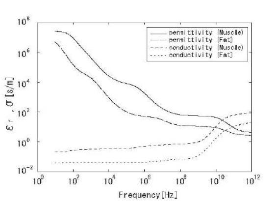 근육과 지방조직의 dielectric parameter