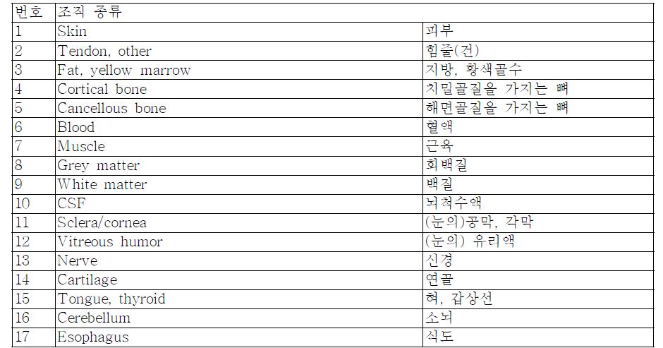 Head 모델 구성 조직 종류