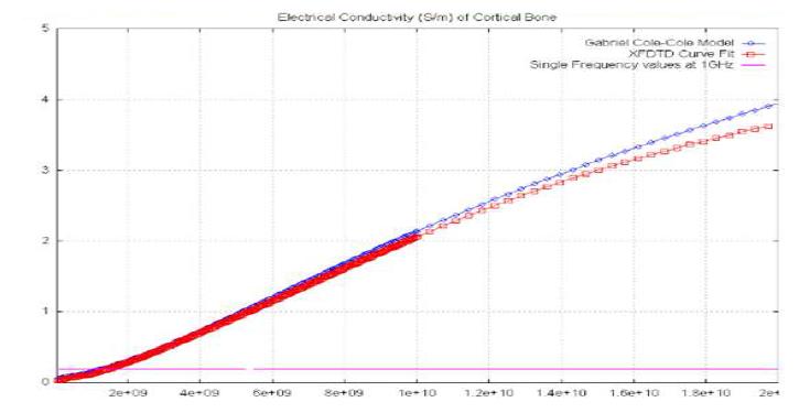 주파수에 따른 cortical bone의 conductivity