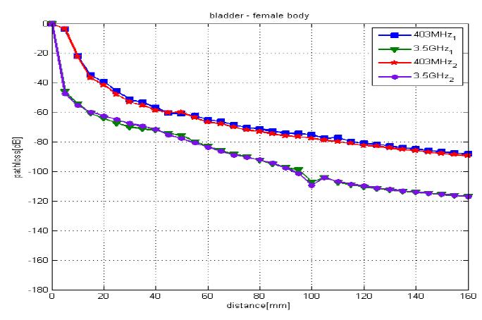 방광에 신호 소스가 위치할 때 여성 모델의 pathloss
