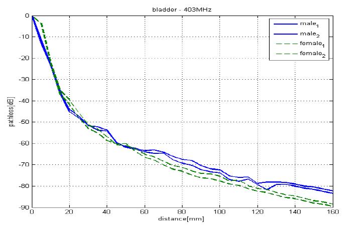 403MHz, 방광에 신호 소스가 위치할 때 pathloss