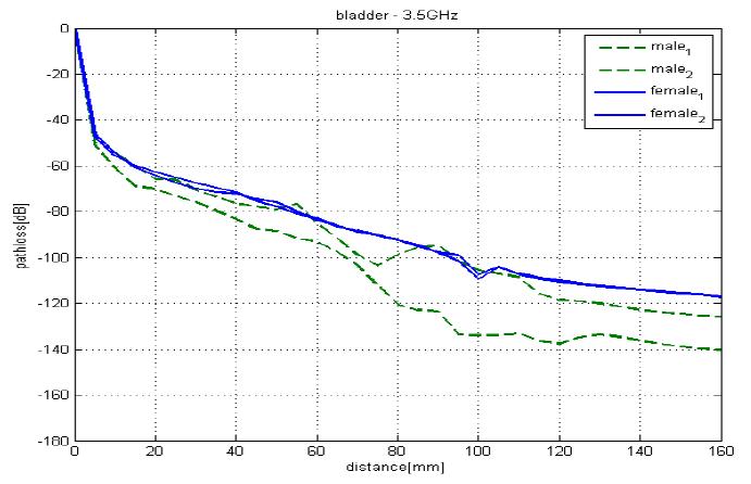 3.5GHz, 방광에 신호 소스가 위치할 때 pathloss